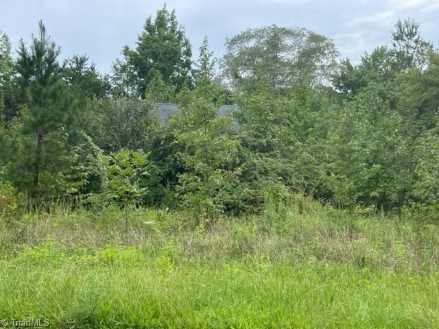 396 Melvin Wrenn, 1084503, Yanceyville, Lots & Land,  sold, Let’s Move Realty