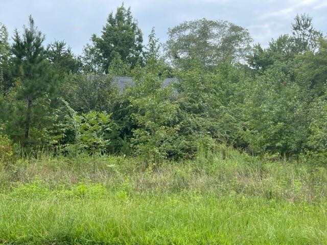 396 Melvin Wrenn, 2473601, Yanceyville, Unimproved Land,  sold, Let’s Move Realty