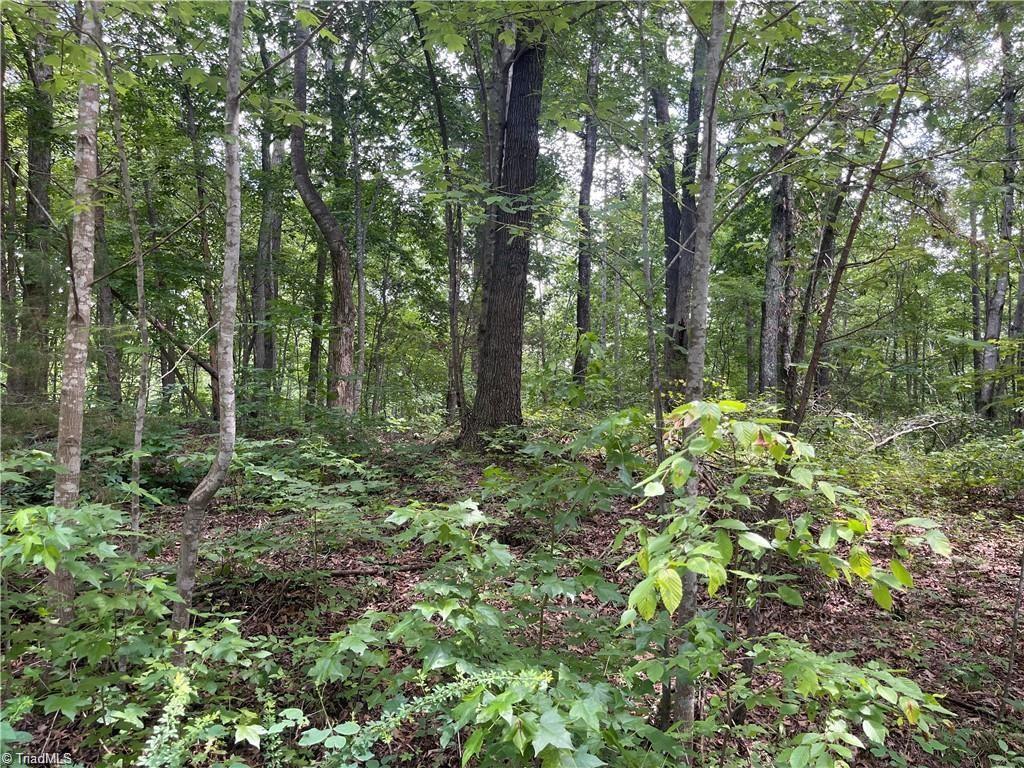 LT 17 Old Mill, 1150709, Providence, Lots & Land,  for sale, Let’s Move Realty